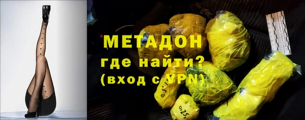 ГАЛЛЮЦИНОГЕННЫЕ ГРИБЫ Кедровый
